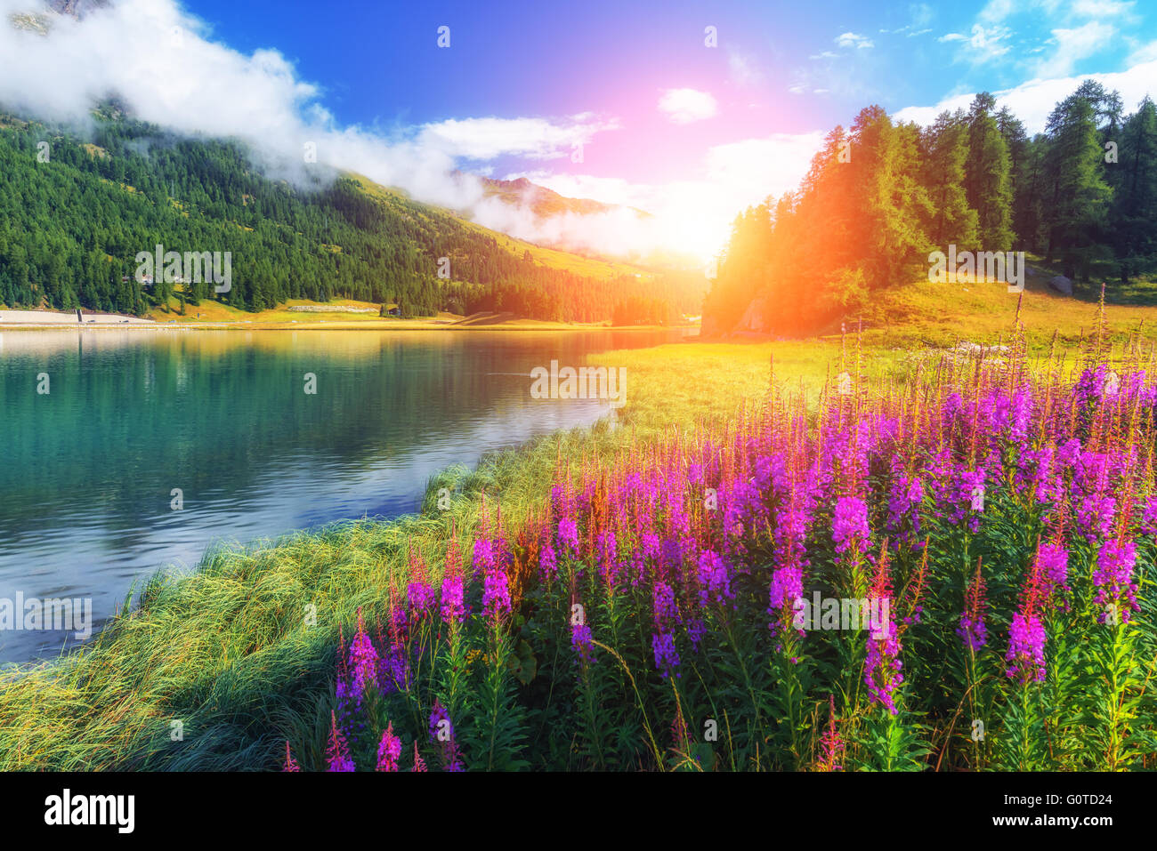 Шезлонг на море. Calmness красивая картинка. Солнце пляж. Лето пальмы. Шезлонг на пляже.