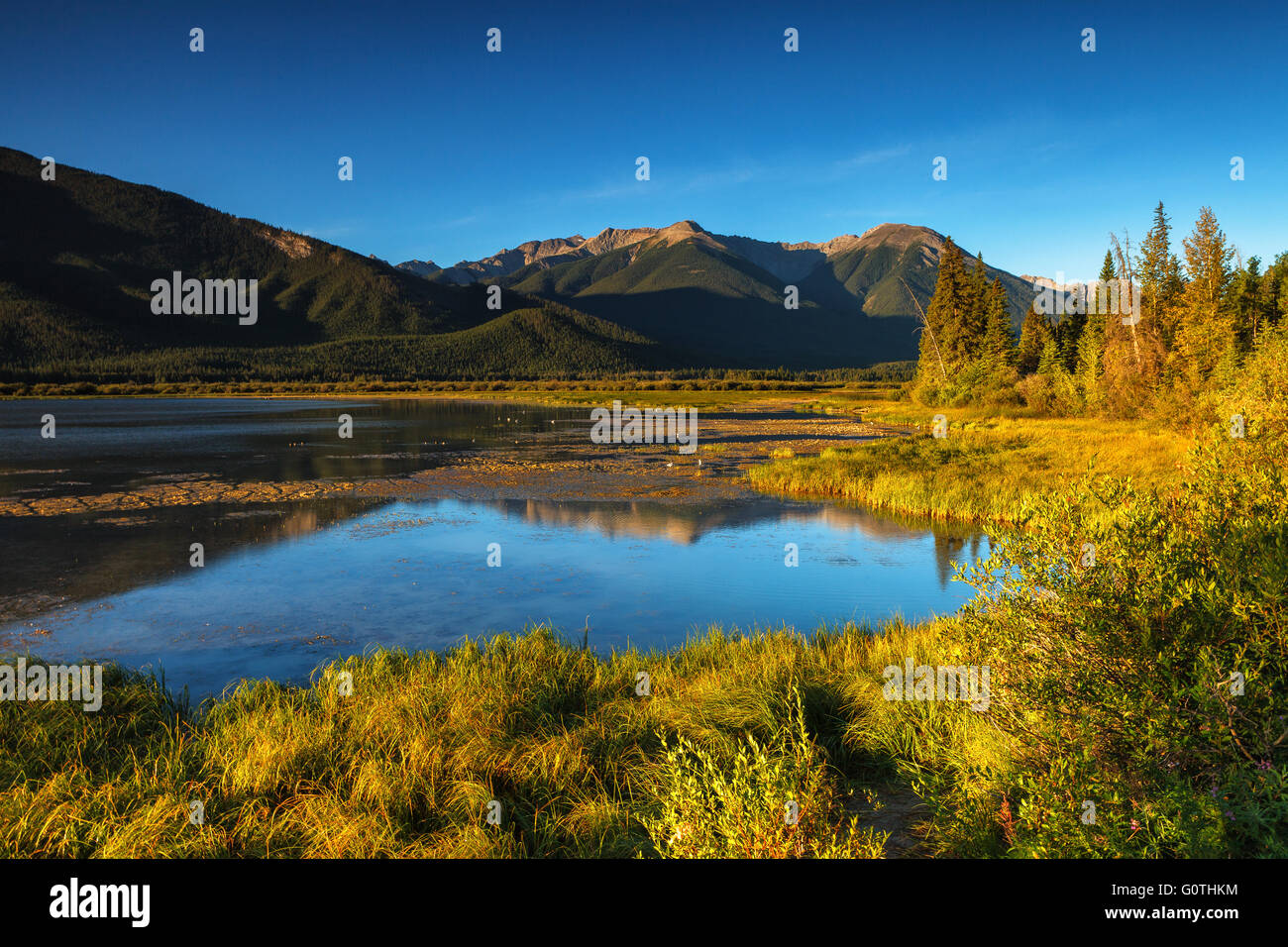 Vermilion Lakes by sunrise. Banff National Park (Canadian Rocky Mountains), Alberta, Canada. Stock Photo