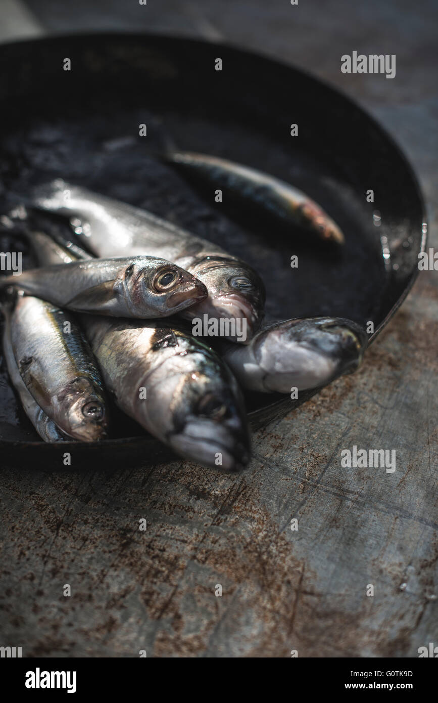 Raw sea bream, sea bass, sardines and mackerel fish in frying pan Stock Photo