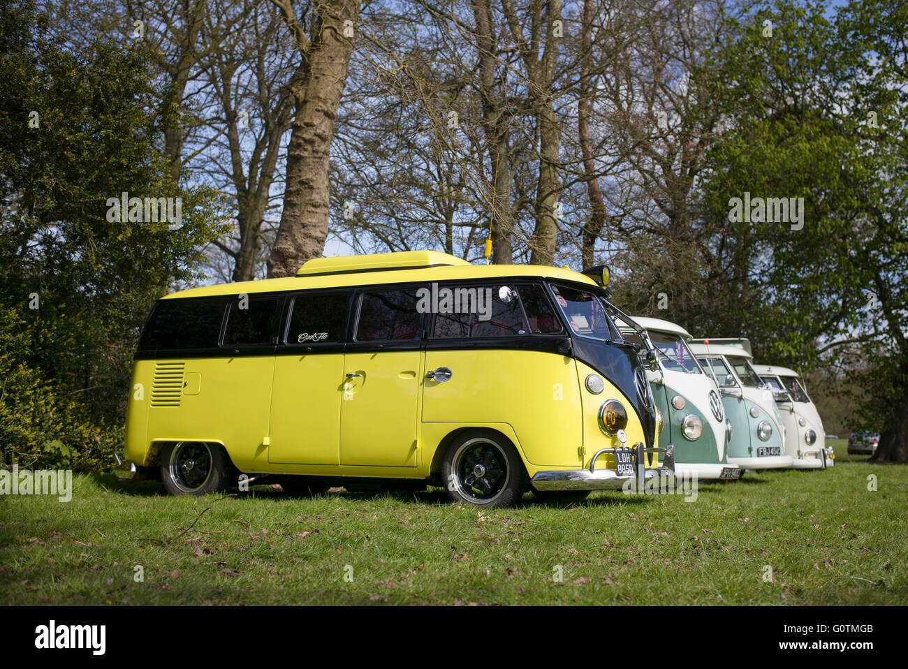 Line of VW Split Screen Volkswagen camper vans at a VW show. Standford ...