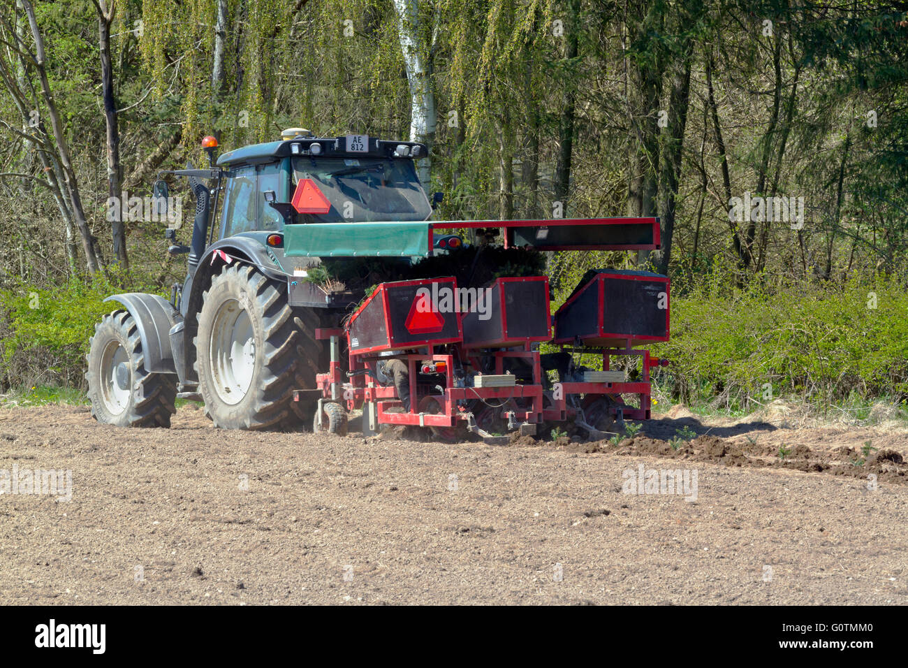 Tractor with a mounted tree planting machine planting Christmas trees