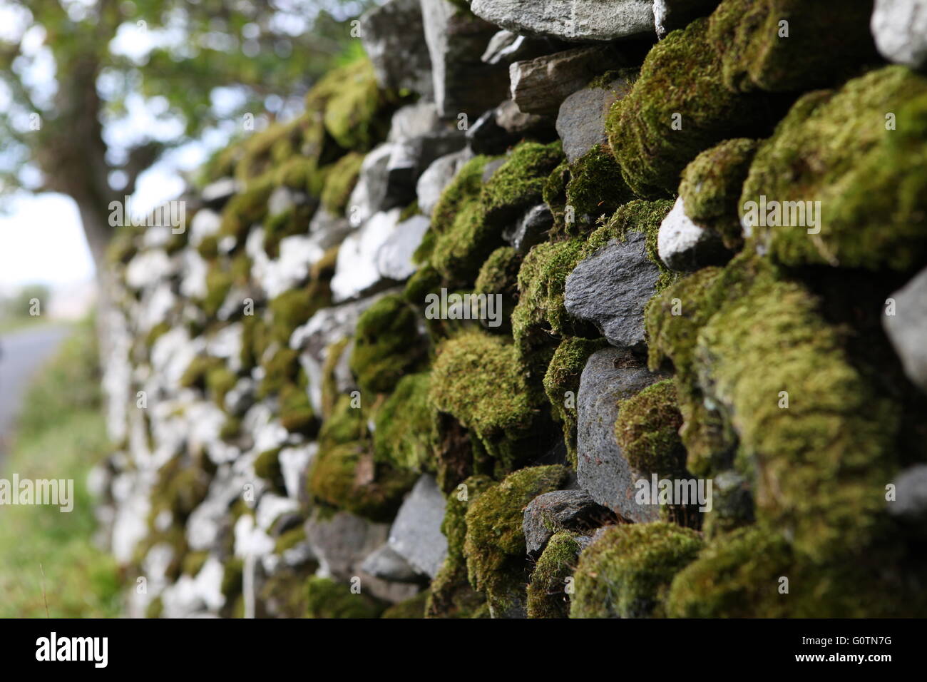 Old traditional Irish stone wall, Donegal, Ireland Stock Photo Alamy
