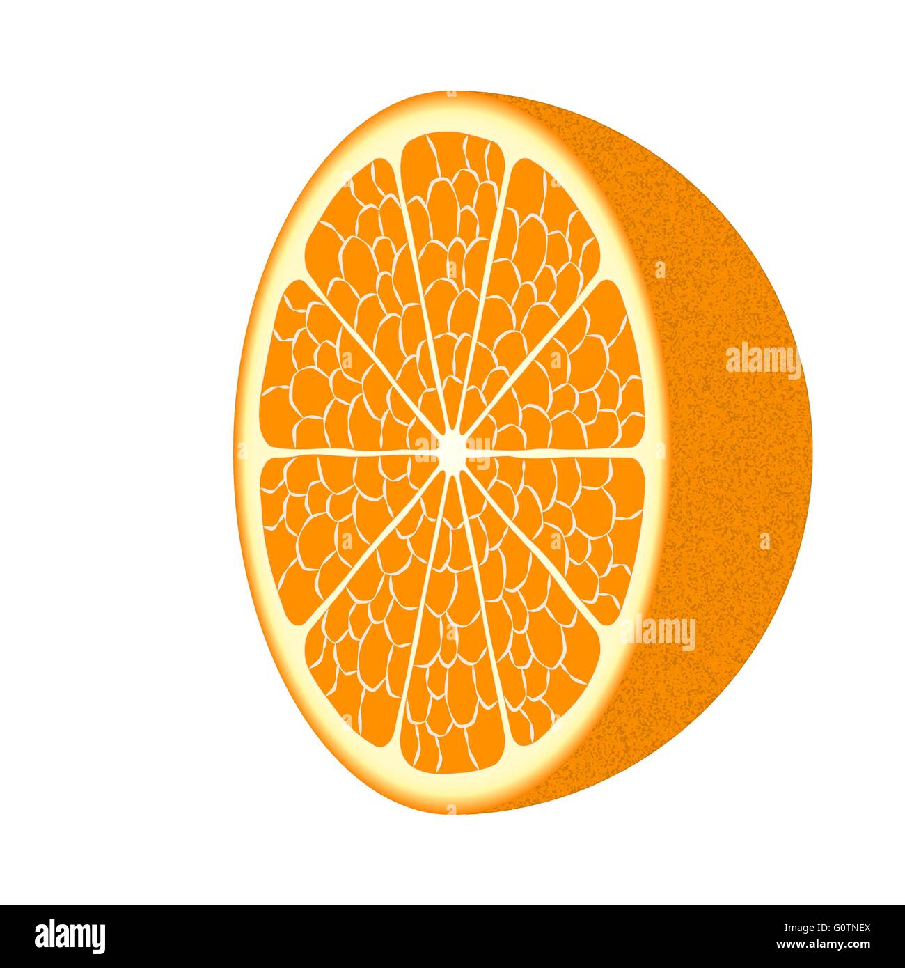 Orange peel Stock Vector Images Alamy