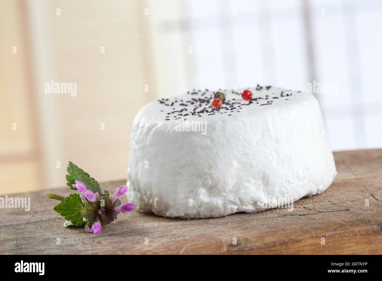 french goats cheeses on white background Stock Photo Alamy