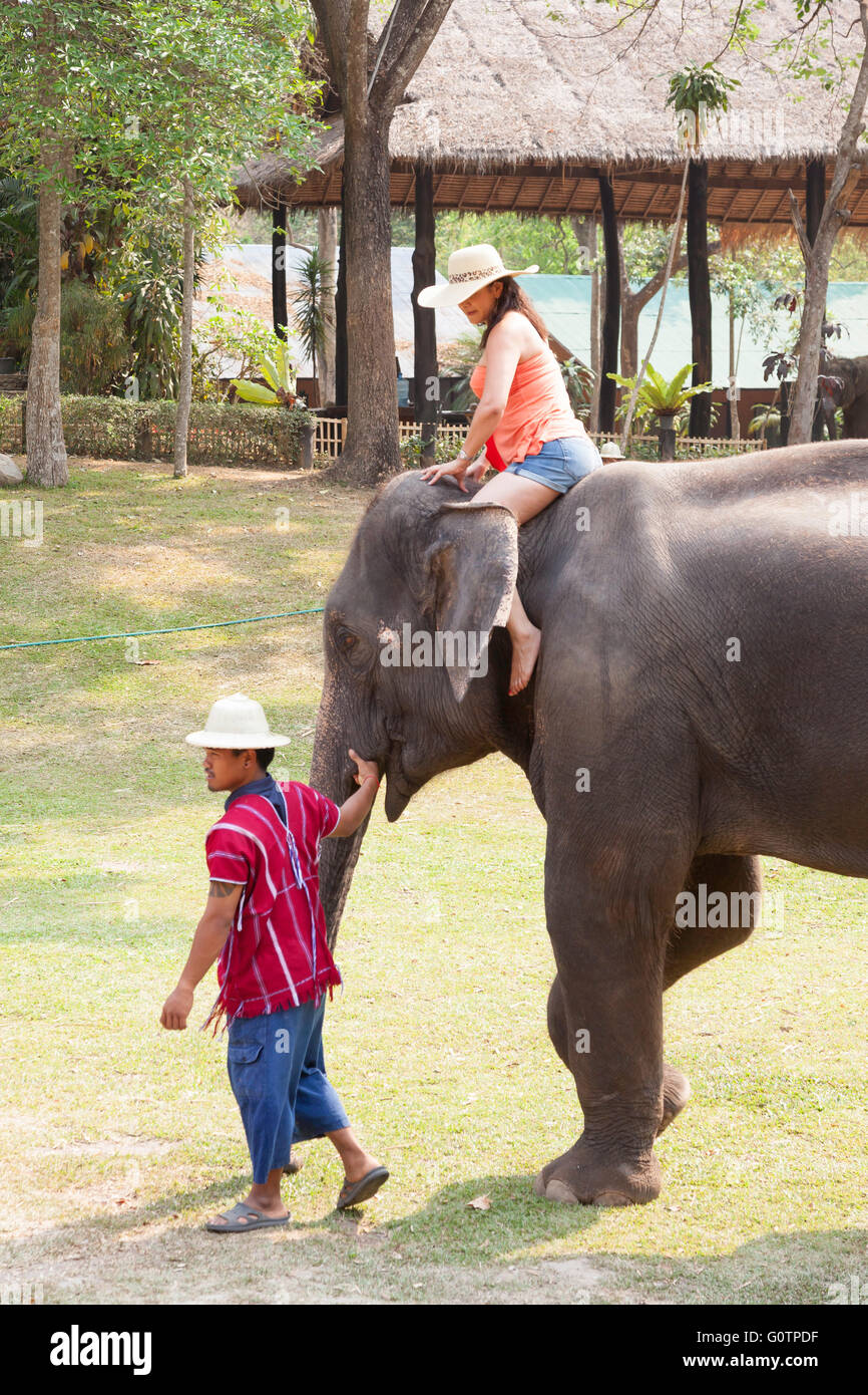 Elephant Tourist Posing riding bathing Experience at Elephant Kingdom ...