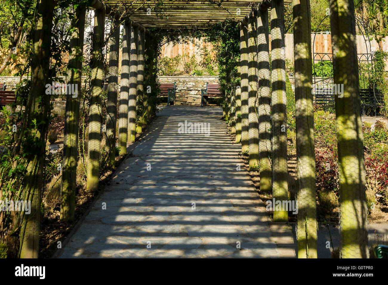 A pergola in Trenance Gardens in Newquay, Cornwall. Stock Photo