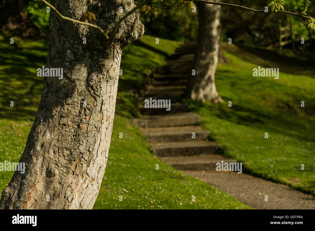 Trenance Gardens in Newquay, Cornwall. Stock Photo