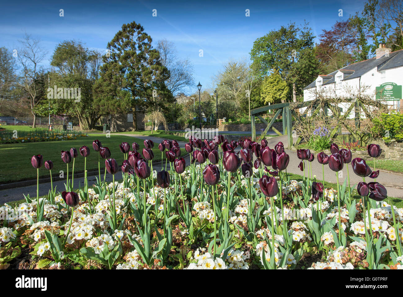 Trenance Gardens in Newquay, Cornwall. Stock Photo