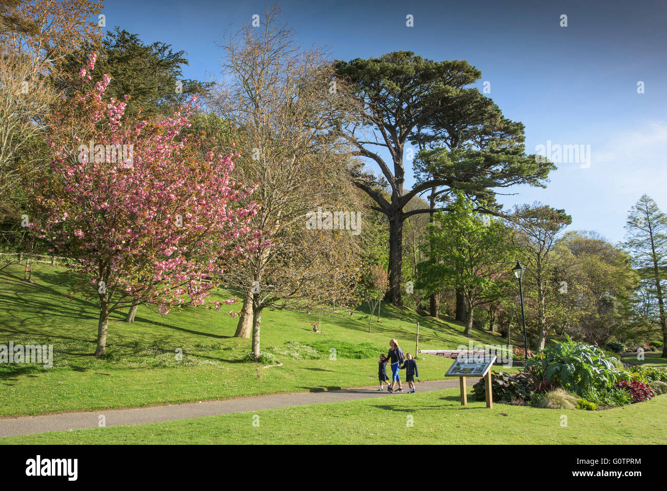 Trenance Gardens in Newquay, Cornwall. Stock Photo