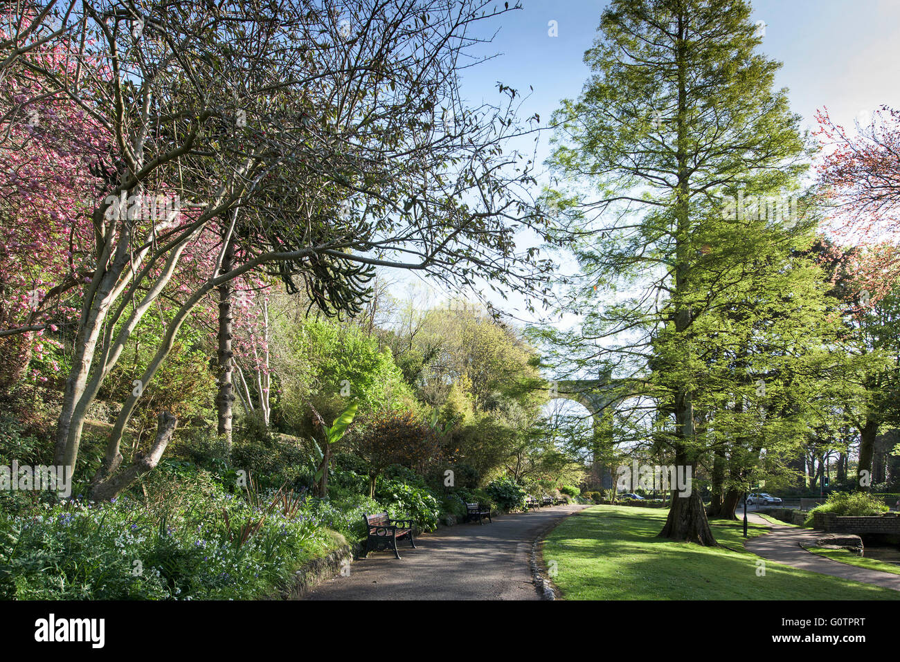 Trenance Gardens in Newquay, Cornwall. Stock Photo