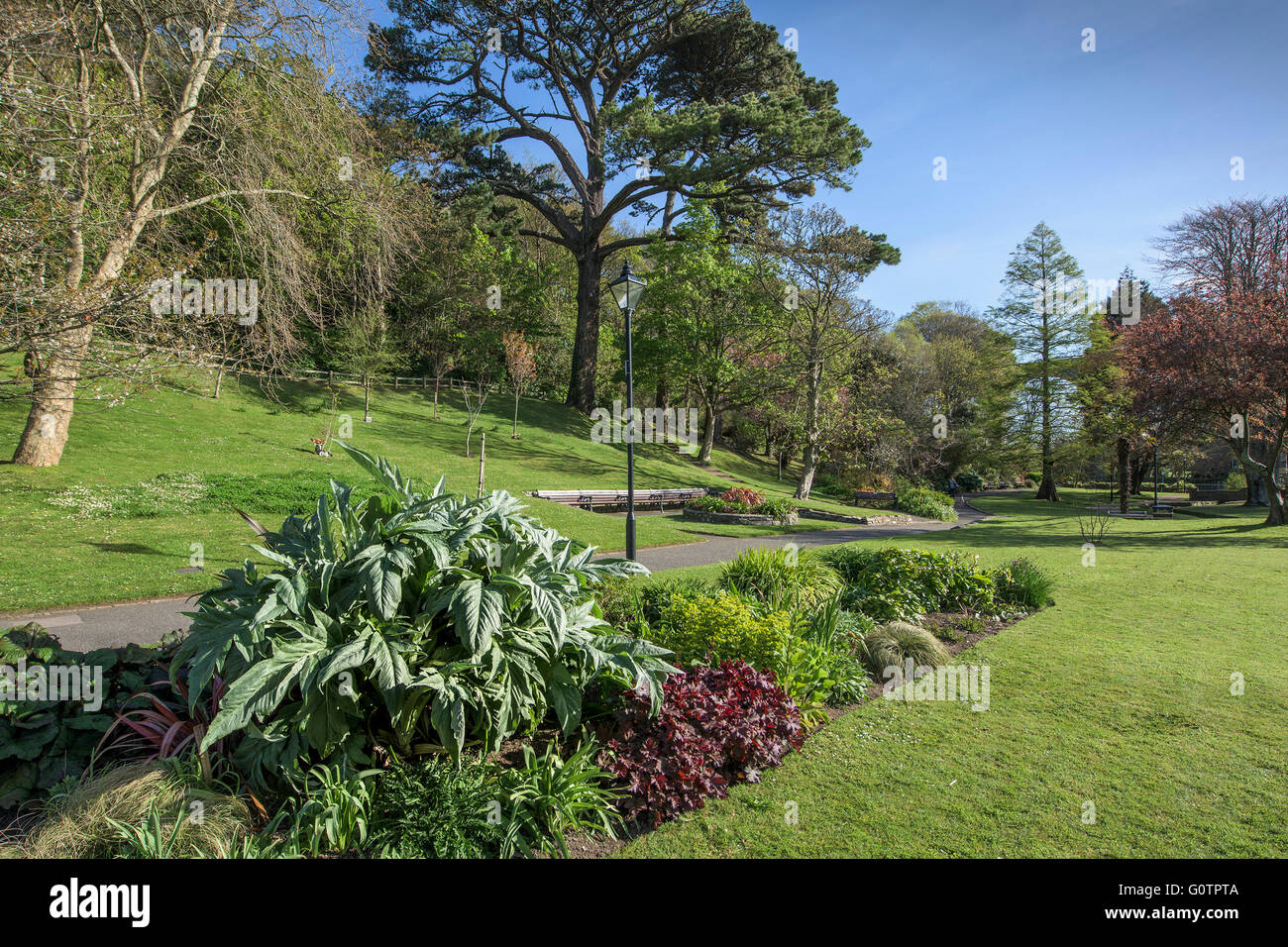 Trenance Gardens in Newquay, Cornwall Stock Photo Alamy
