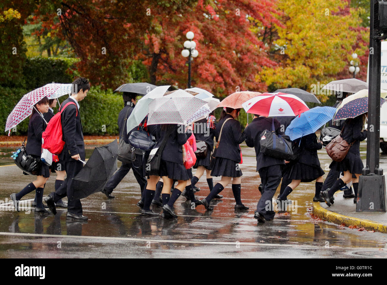 rain umbrellas canada