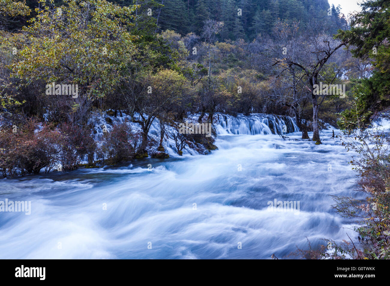 Stream in Jiuzhaigou national park, Sichuan Province, China. Stock Photo