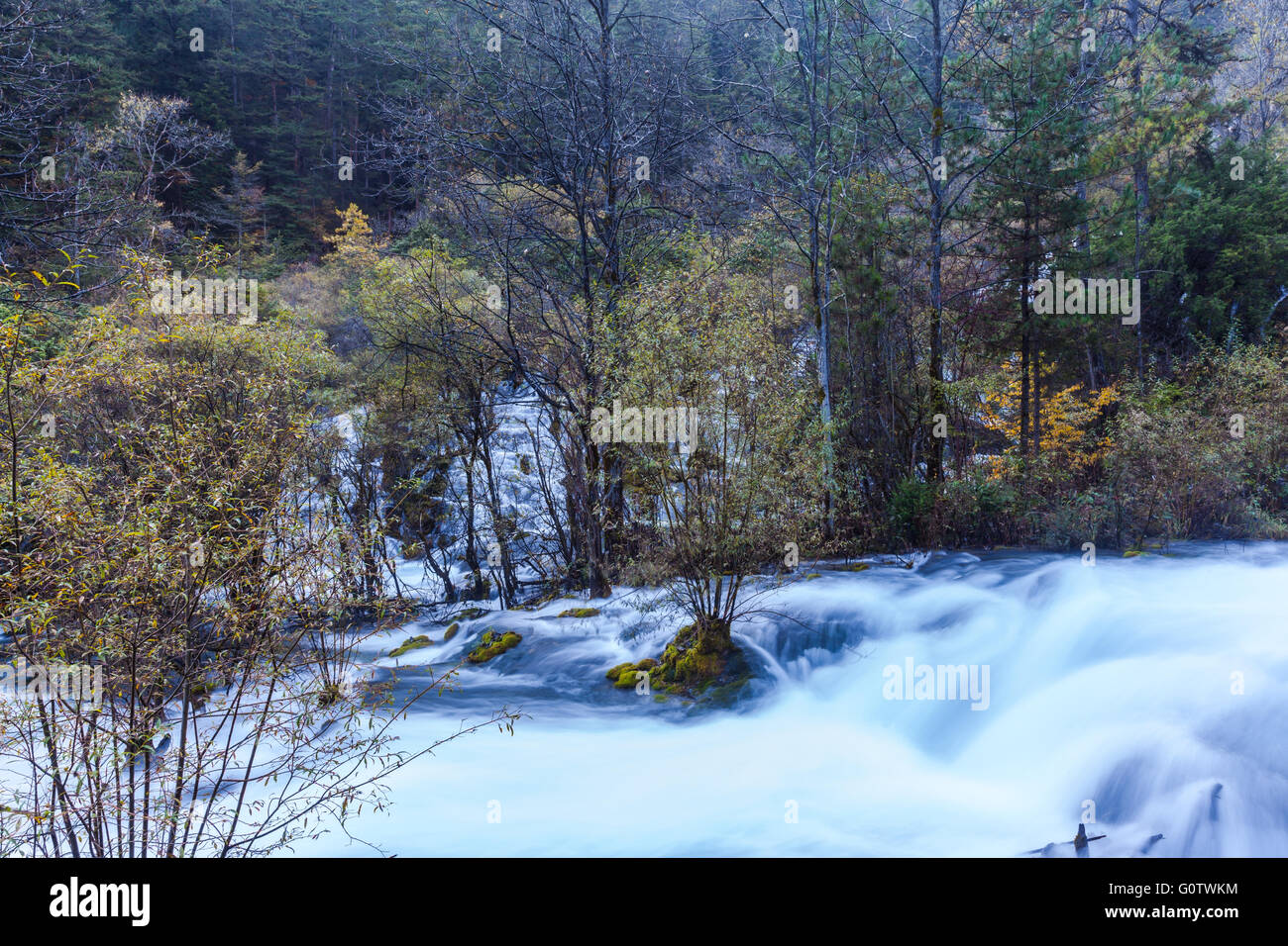 Creek in Jiuzhaigou national park, Sichuan Province, China. Stock Photo