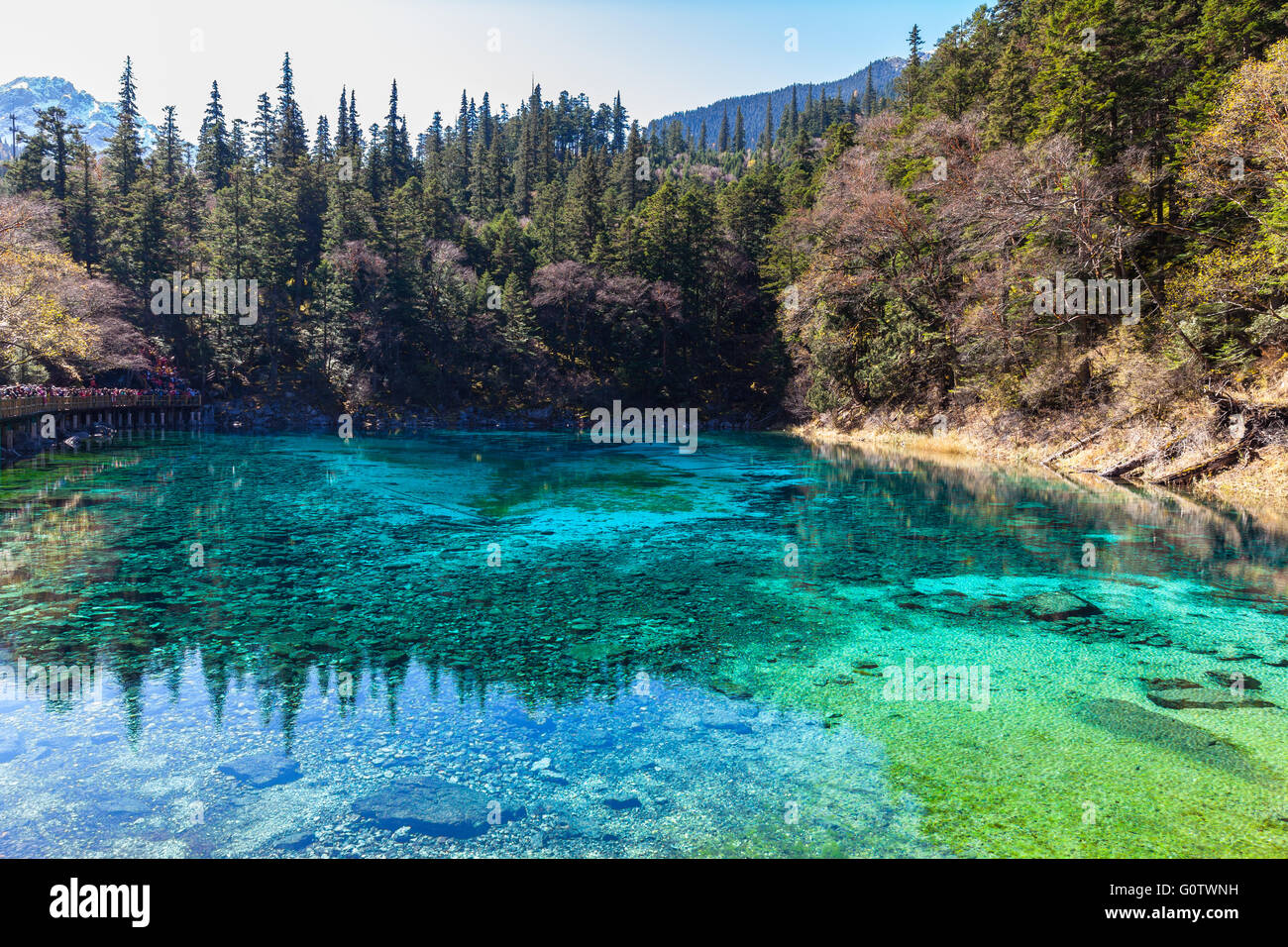 Beautiful pond in Jiuzhaigou national park, Sichuan Province, China Stock Photo