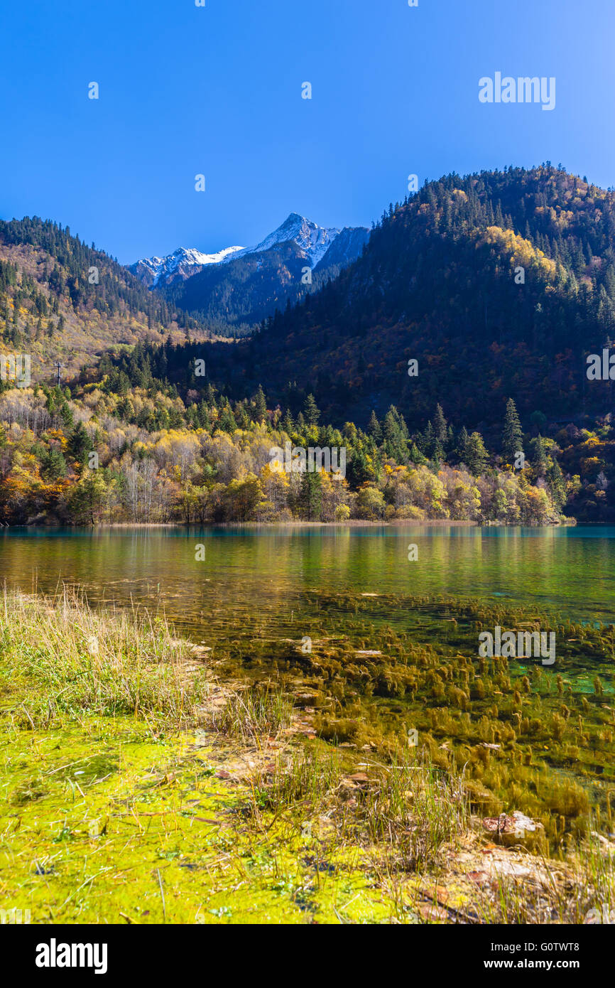Stunning view in Jiuzhaigou national park, Sichuan Province, China Stock Photo