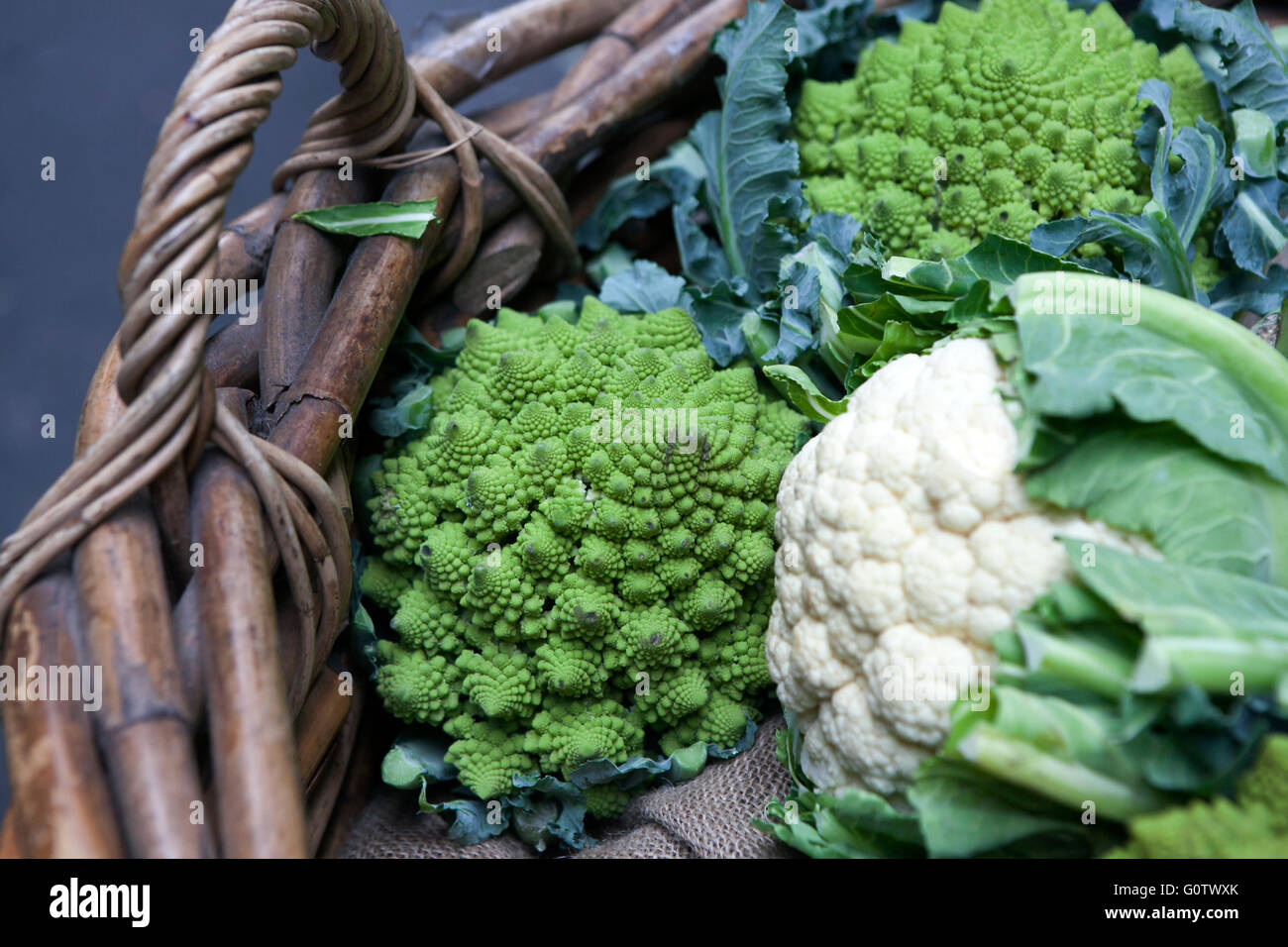 Romanesco cauliflower with its fractal shapes and Fibonacci sequences in focus,  and cabbage leaves in the background. Stock Photo