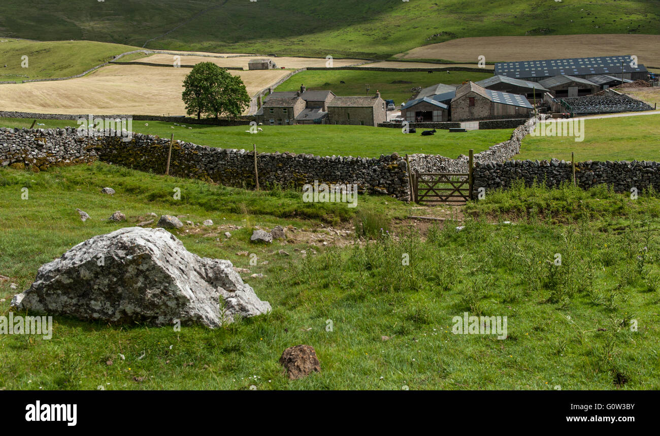 Stockdale Farm near Settle Yorkshire Stock Photo Alamy