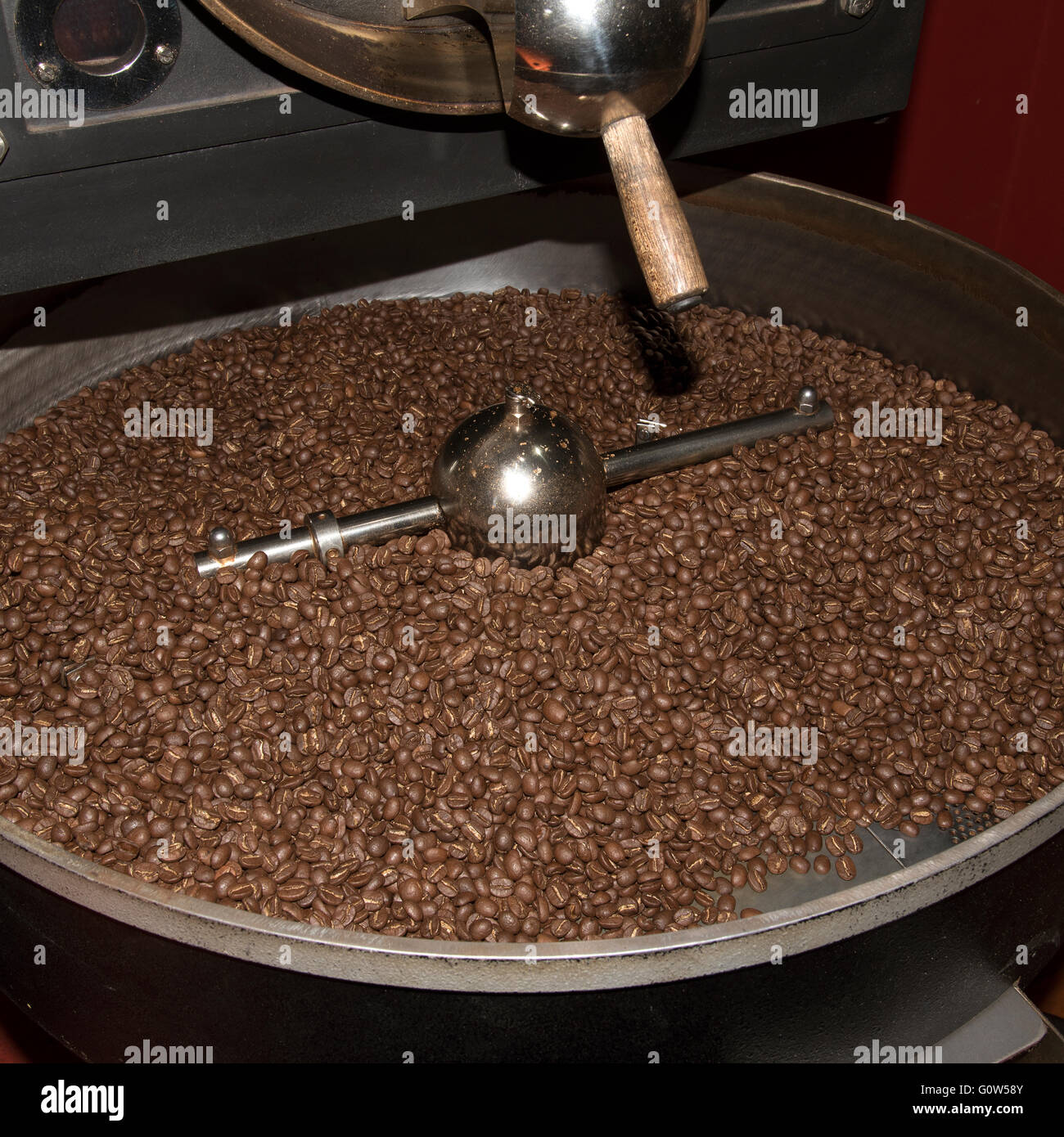 Roasted coffee beans in the cooling tray of the roaster machine Stock