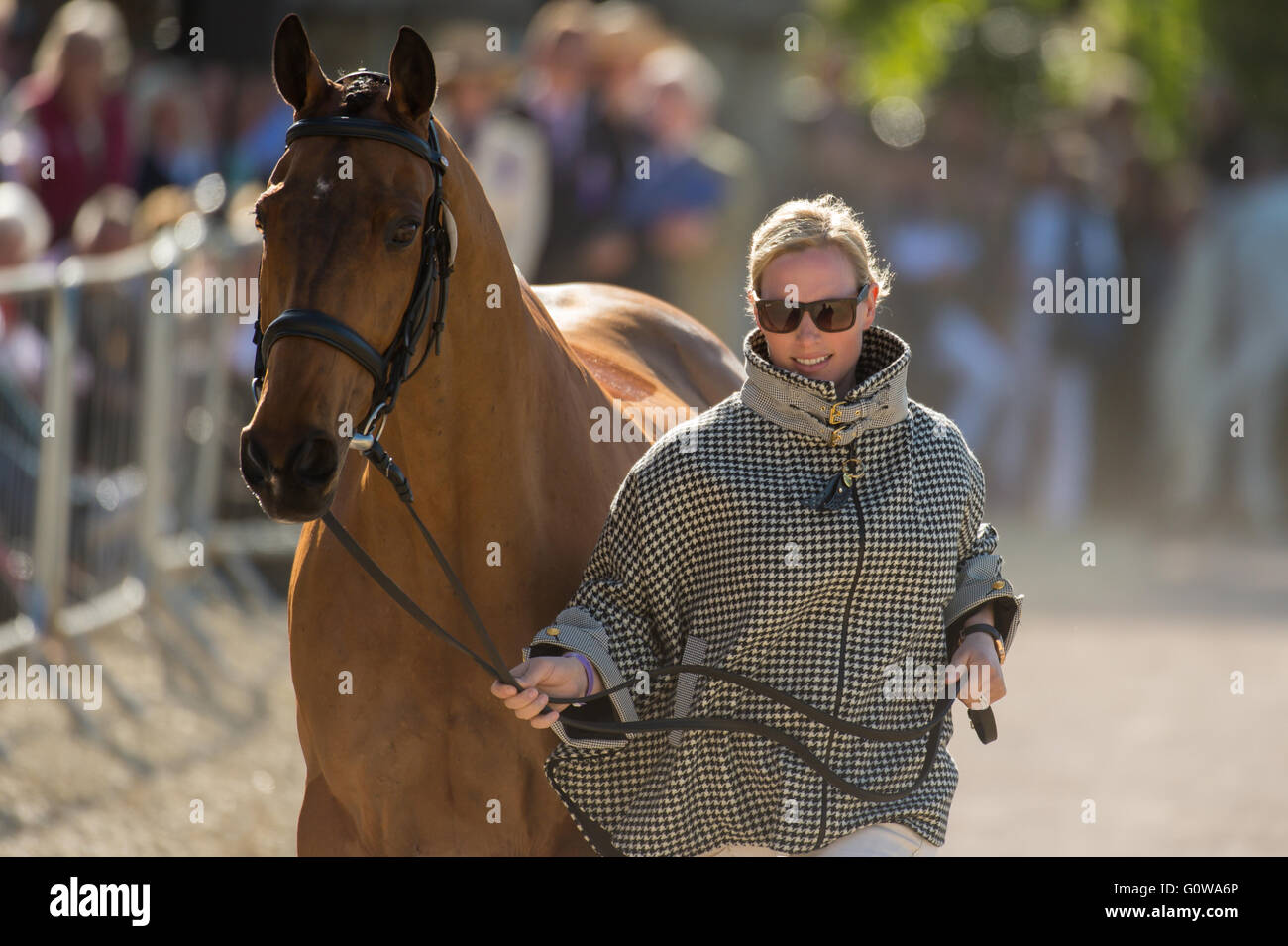 Badminton, South Gloucestershire, 4th May 2016, Zara Tindall and her horse High Kingdom take part in the first horse inspection at the Mitsubishi Motors Badminton Horse Trials 2016. The horse inspection takes place before the start of the competition to ensure that the horses are fit to take part in the competition. Credit: Trevor Holt / Alamy Live News Stock Photo
