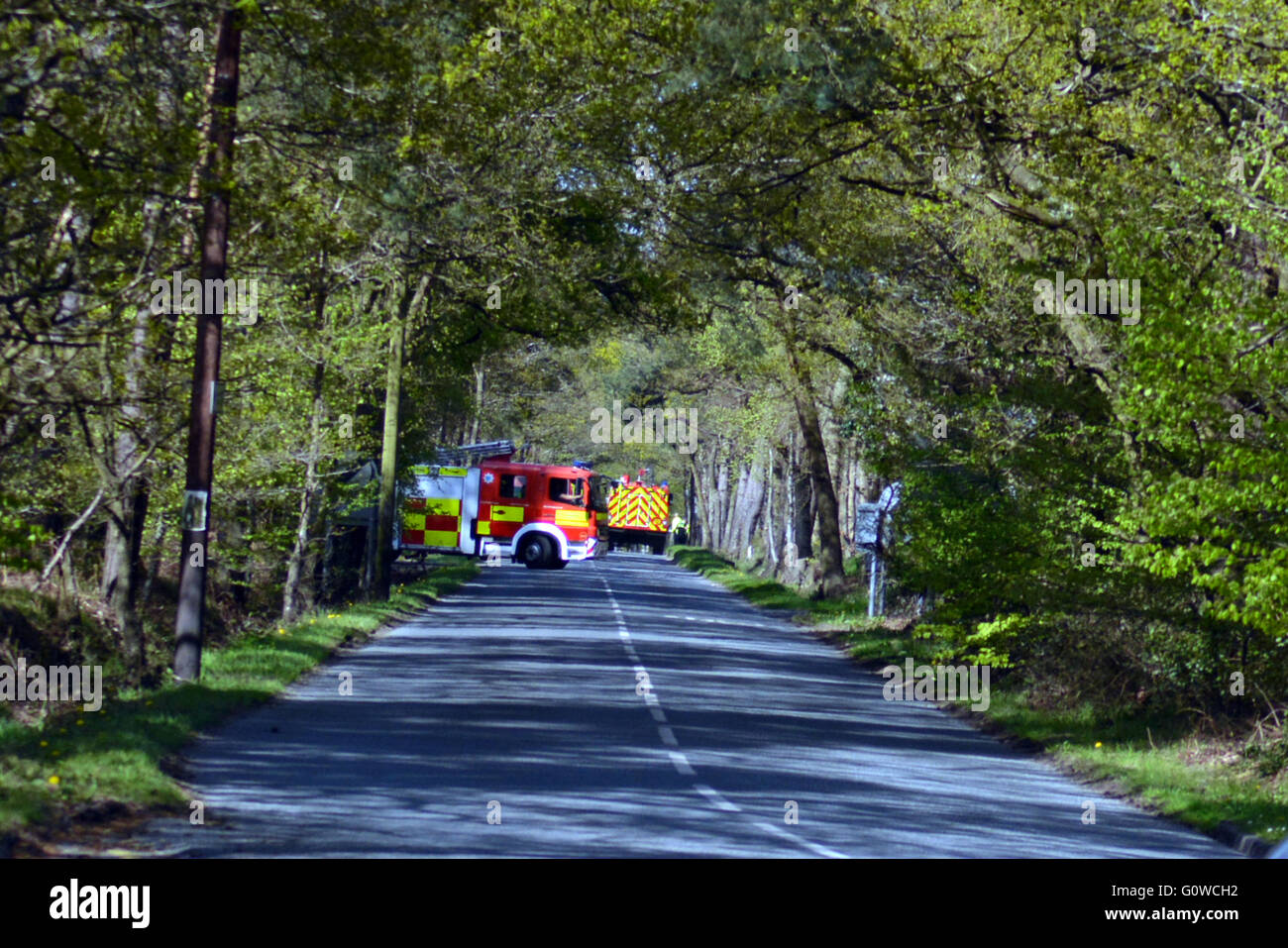 Fire engines attend to Burghfield forest fire, fighting thirty arces of land. Charles Dye / Alamy Live News Stock Photo