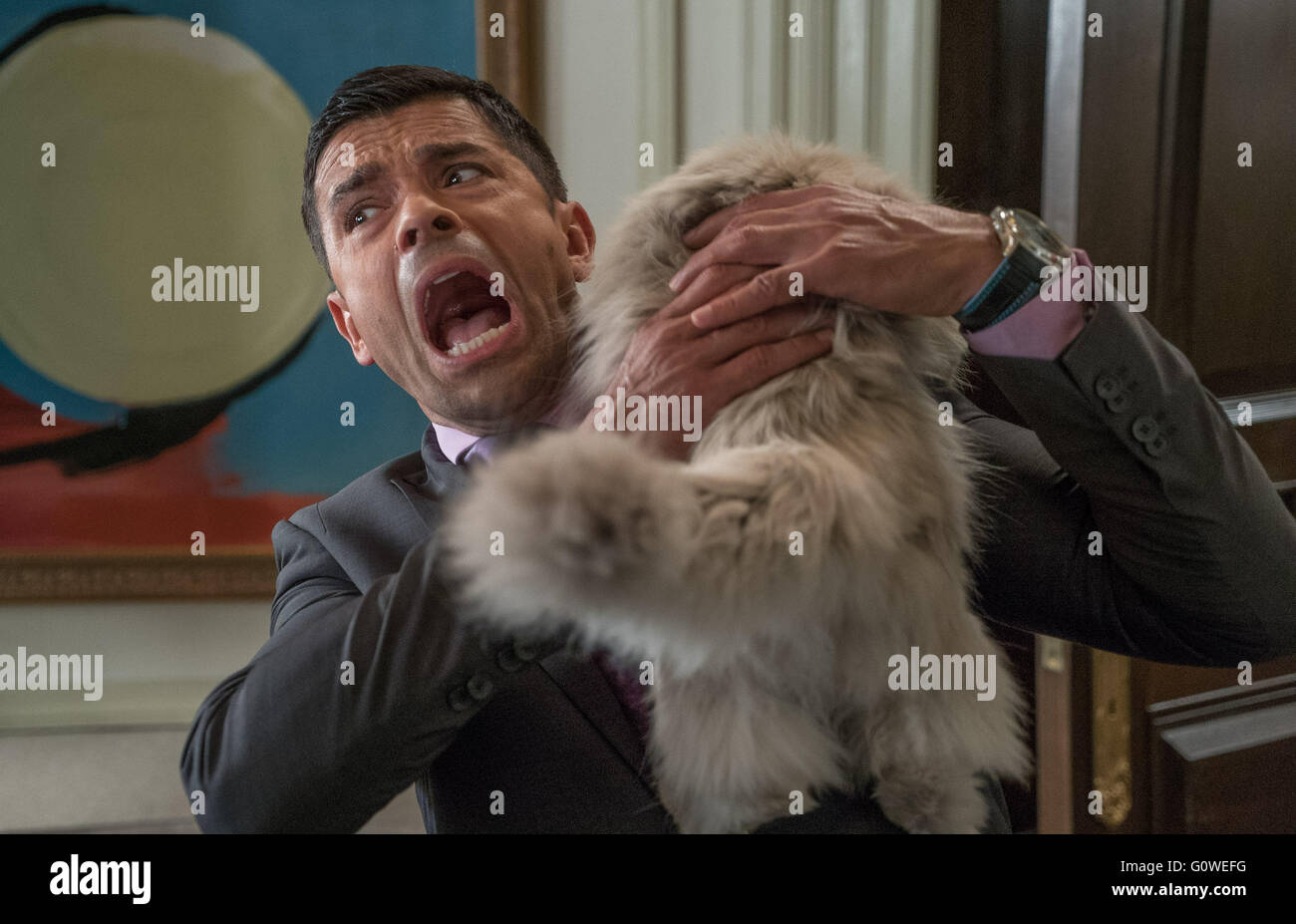 RELEASE DATE: August 5, 2016 TITLE: Nine Lives STUDIO: EuropaCorp DIRECTOR: Barry Sonnenfeld PLOT: A stuffy businessman finds himself trapped inside the body of his family's cat PICTURED: Mark Consuelos (Credit: c EuropaCorp/Entertainment Pictures/) Stock Photo