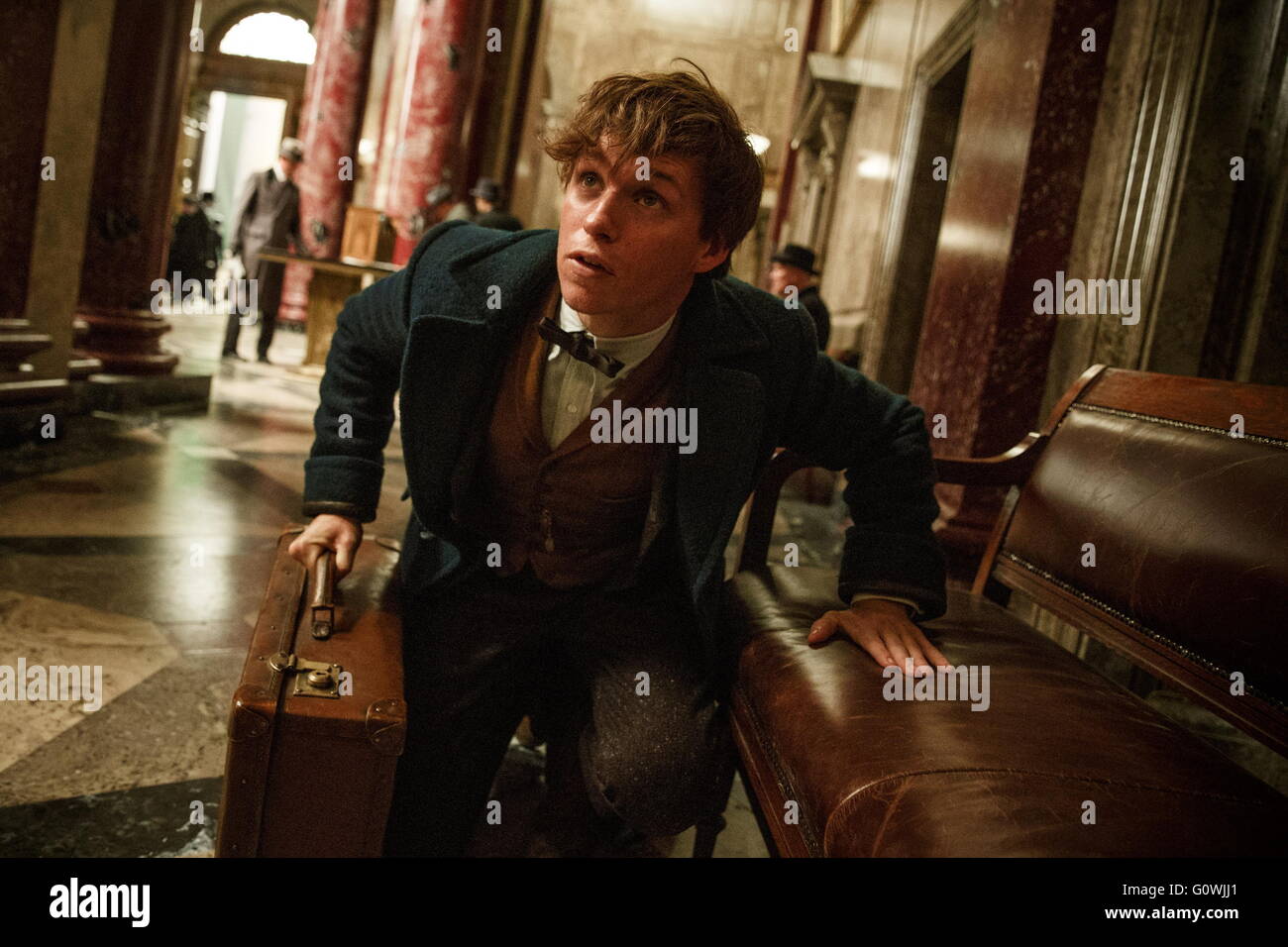 Newt scamander in hires stock photography and images Alamy