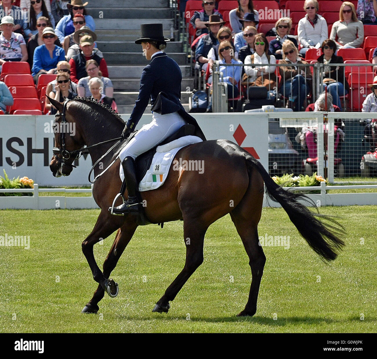 Badminton, Gloucestershire, UK. 5th May, 2016. Mitsubishi Motors Badminton Horse Trials.Camilla Spiers Ireland and Porterhouse Just A Jiff compete in the Dressage.   Mitsubishi are celebrating 25years partnership with Badminton. Date 05/05/2016   Credit:  charlie bryan/Alamy Live News Stock Photo