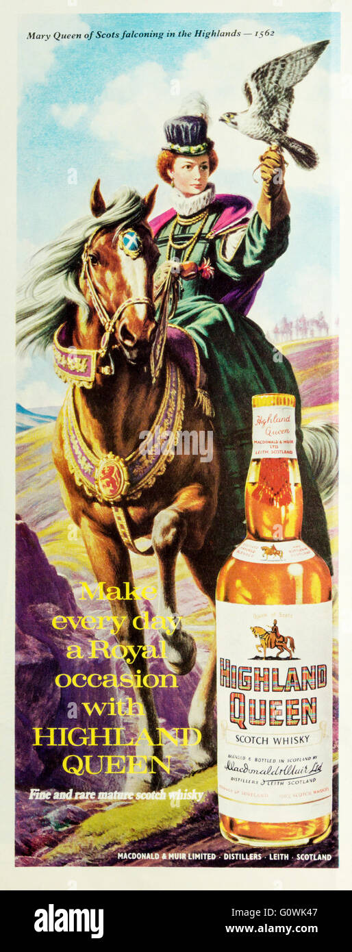 1970s advert advertising Highland Queen Scotch Whisky with a painting of Mary Queen of Scots hunting with a hawk in 1562. Stock Photo