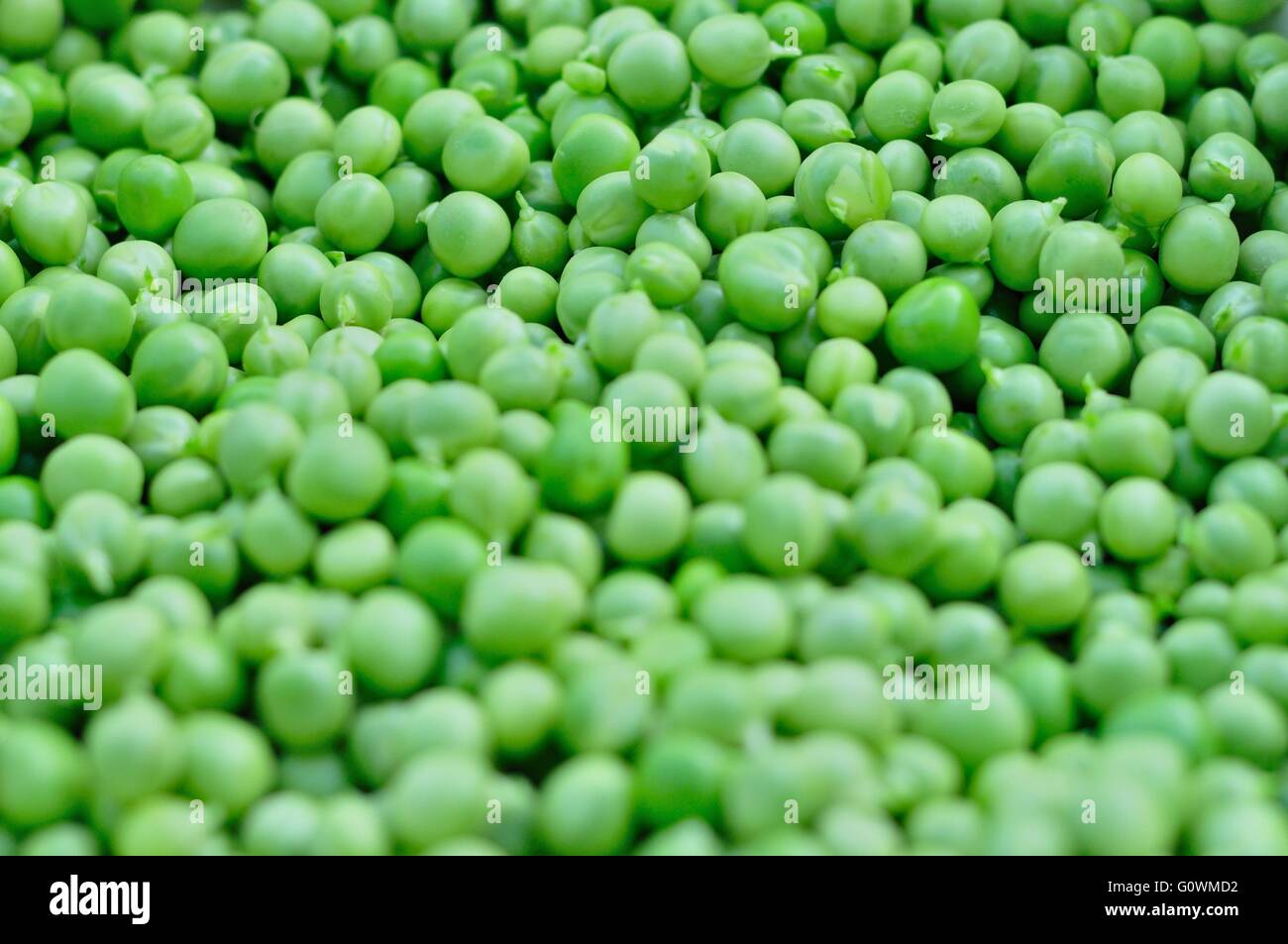 Texture of fresh green peas. Food background. Selective focus. Stock Photo