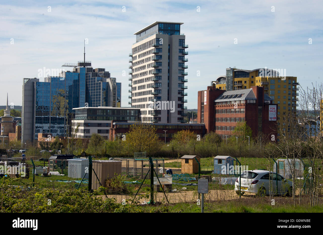 A view of central Basingstoke with allotments in the foreground Stock Photo