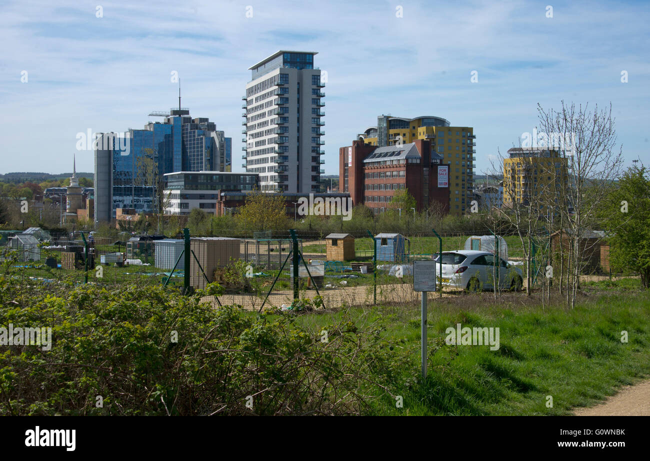 A view of central Basingstoke with allotments in the foreground Stock Photo