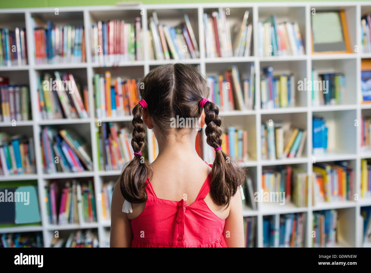 Rear view of a girl with braids Stock Photo