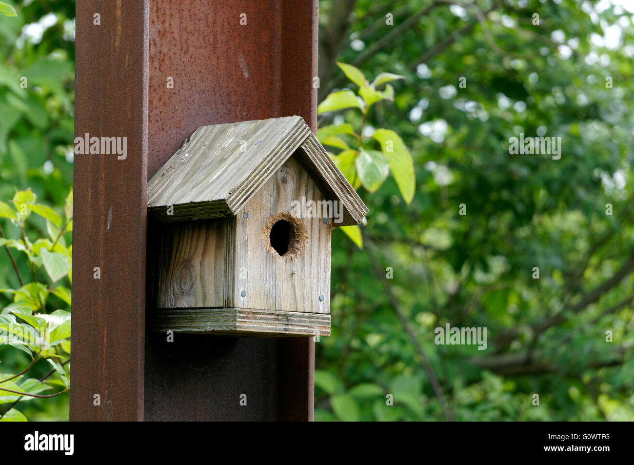 Unpainted wooden birdhouse mounted on an iron girder with greenery in background Stock Photo