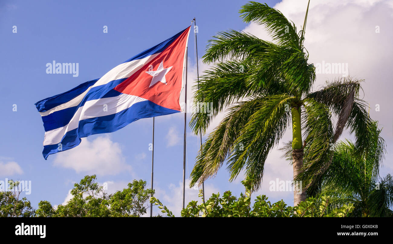 A Cuban flag waving in the wind next to a palm tree Stock Photo
