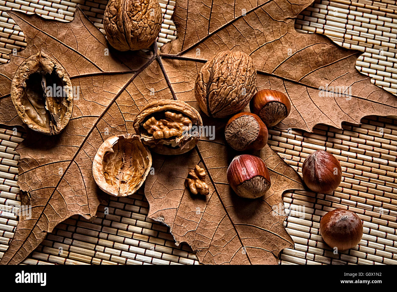 Walnuts and hazelnuts on a dry leaf Stock Photo