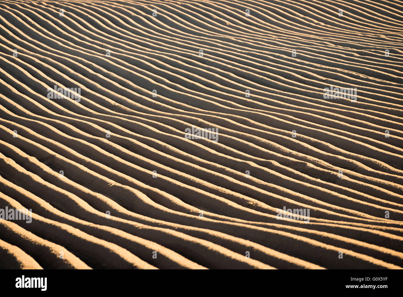 Contours and furrows in a ploughed field near the Wrekin in Shropshire, England, UK. Stock Photo