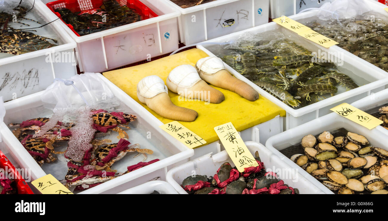 Chinese street seafood market, photo taken in China Stock Photo