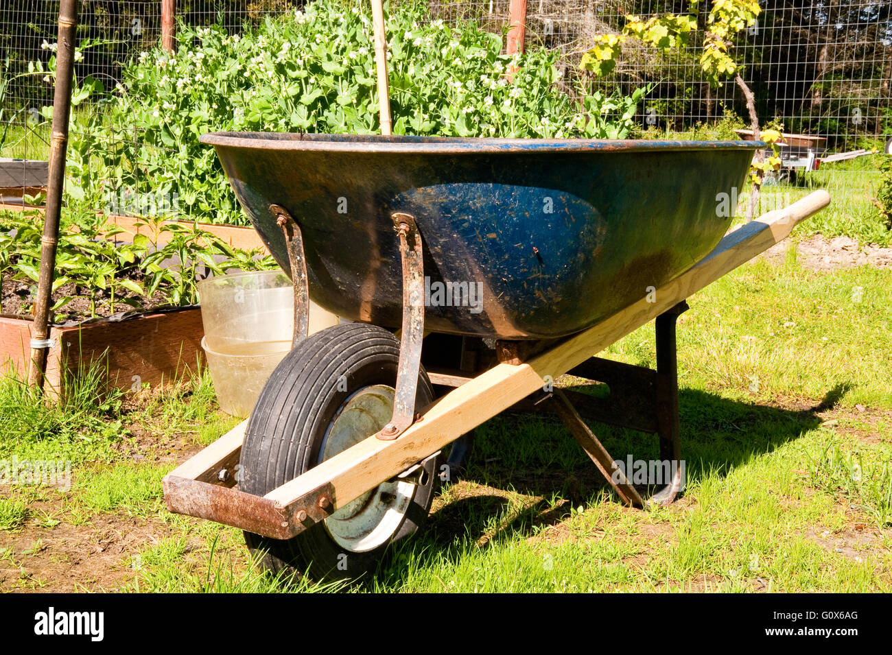 Wheelbarrow in a garden Stock Photo Alamy