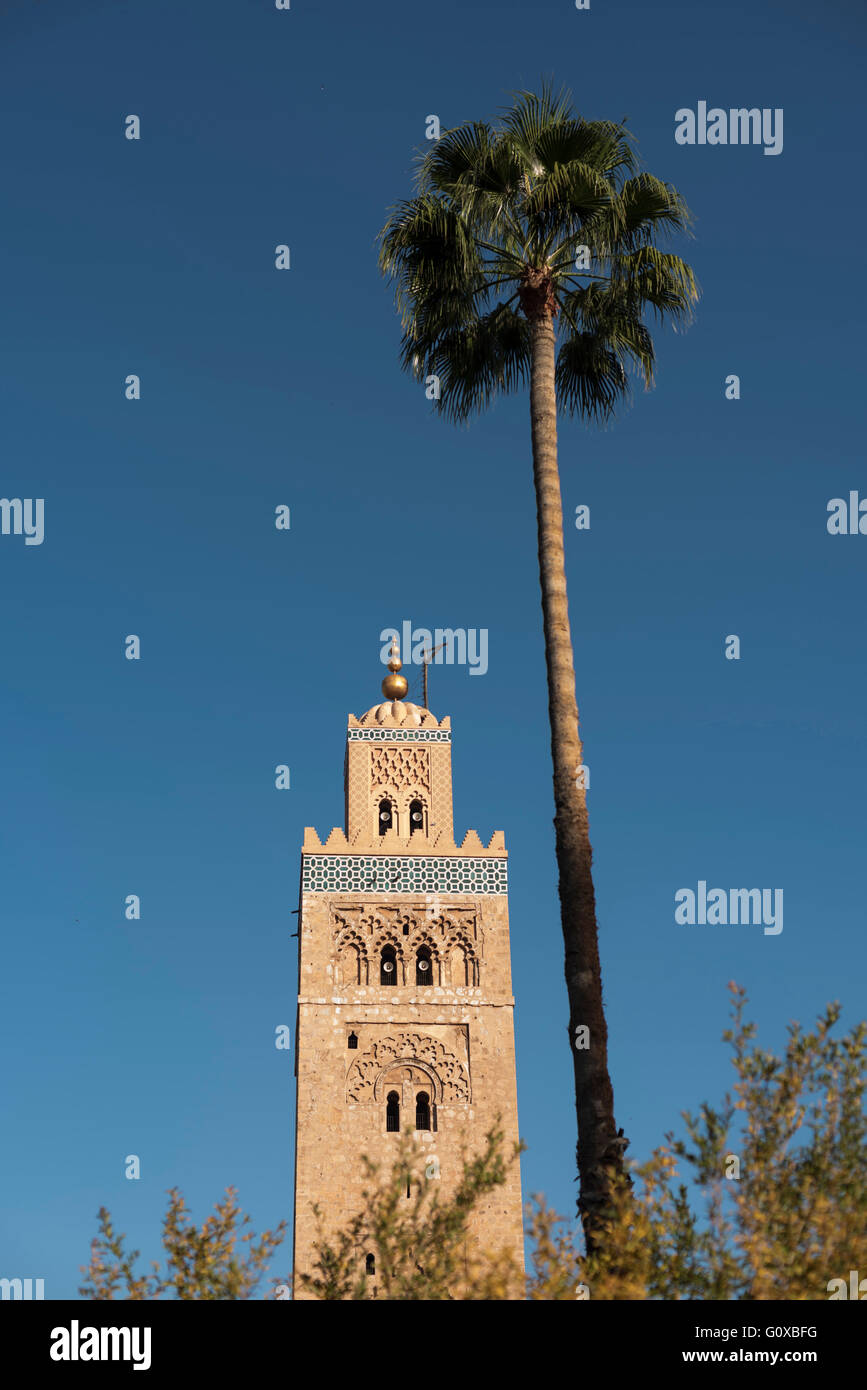 Koutoubia Mosque and Palm Tree, Medina, Marrakesh, Morocco Stock Photo