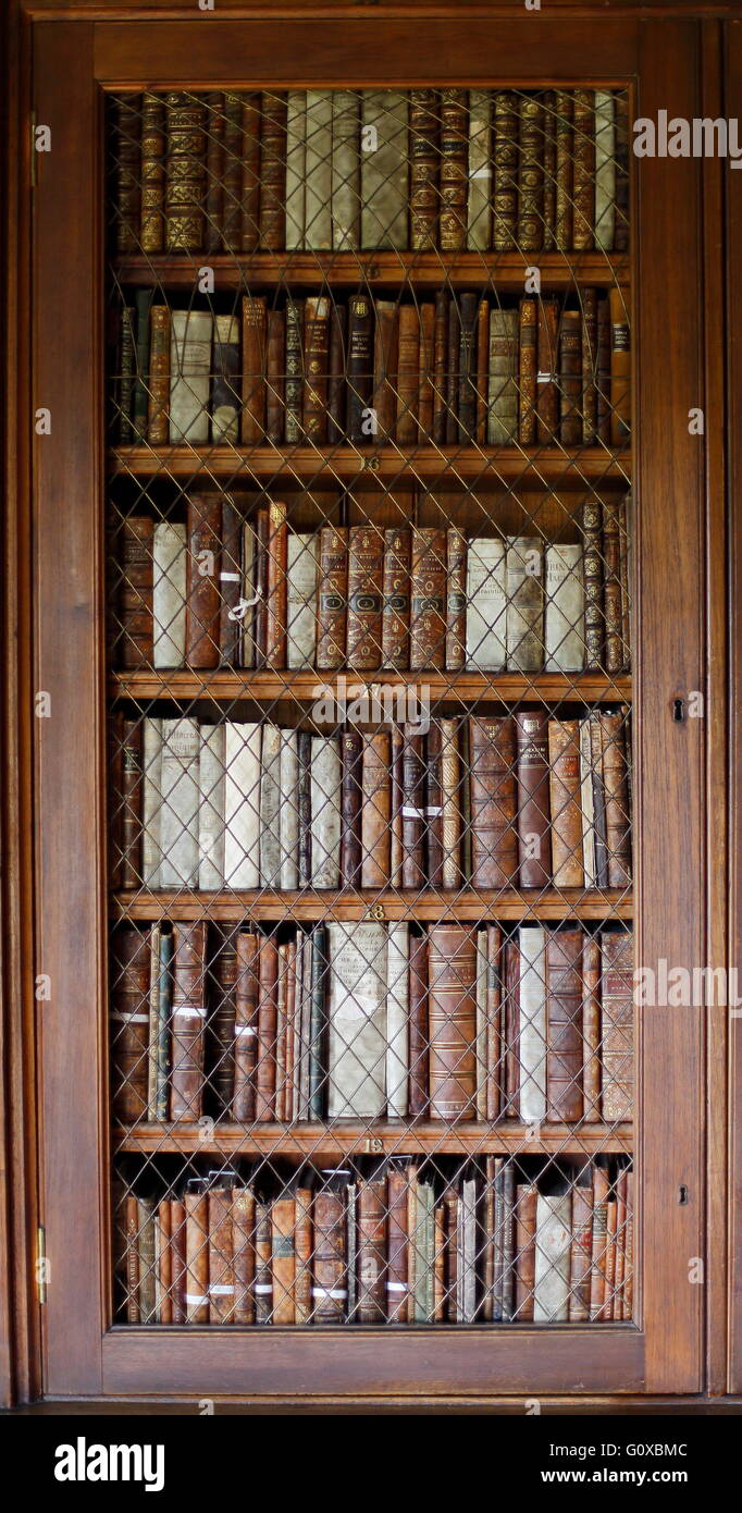 book books antique leather-bound bindings tomes volumes volume tome old  antiques grill grilled library study erudition research Stock Photo - Alamy