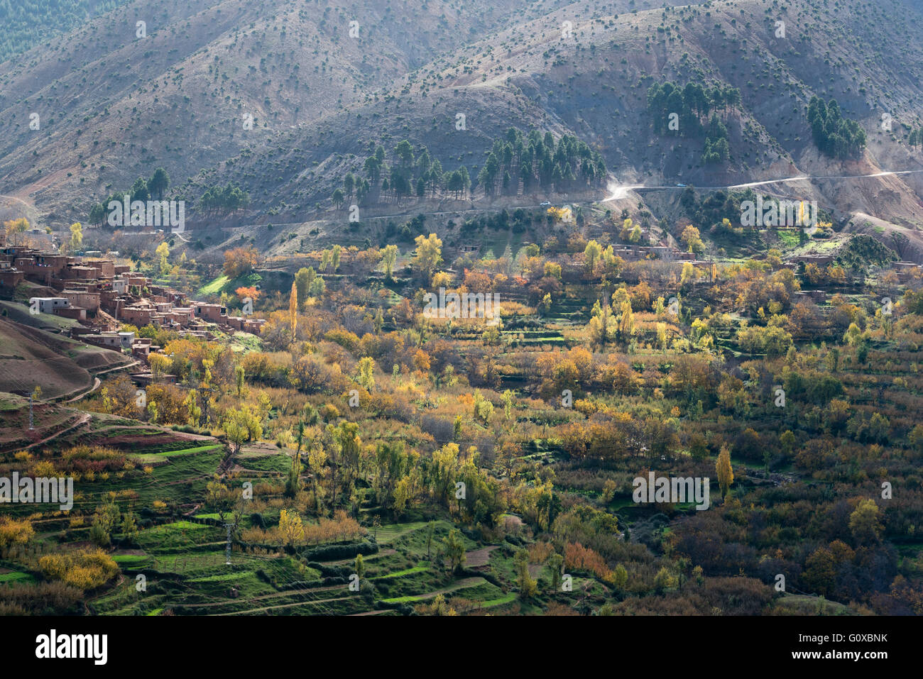 Overview of terraced farmland and homes, Marrakesh, Morocco Stock Photo
