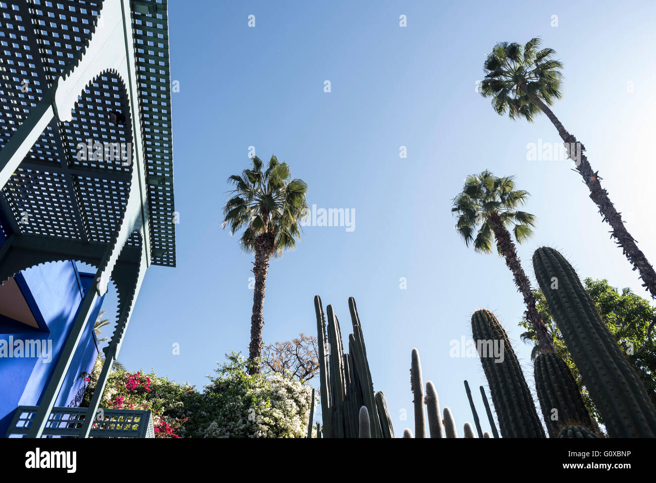 Nobody blue exterior palm cactus cacti hires stock photography and
