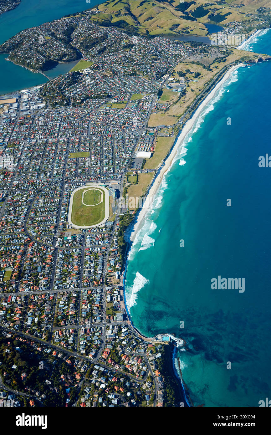 St Clair and St Kilda Beaches, Dunedin, Otago, South Island, New Zealand - aerial Stock Photo