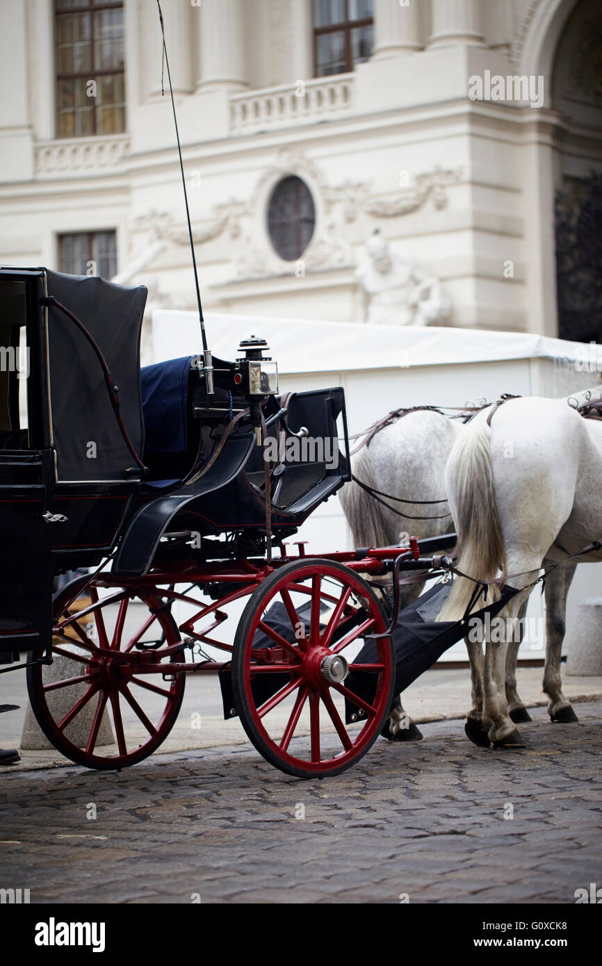 Horse-Drawn Carriage for Sightseeing Tour, Vienna, Austria Stock Photo