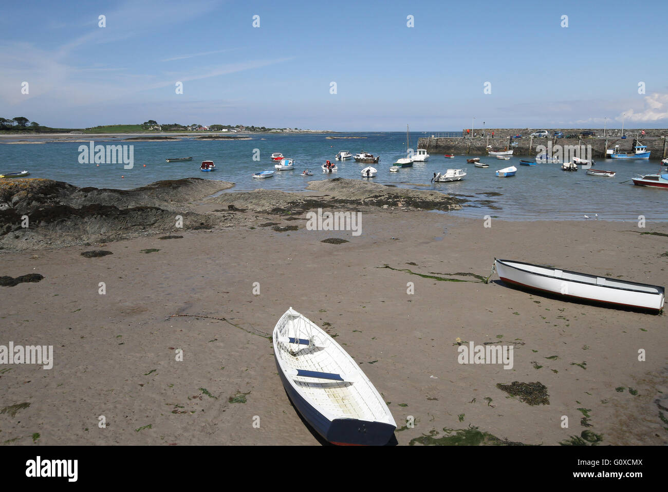 Boats on the sand at low tide in the small coastal harbour at Ballywalter, County Down, Northern Ireland Stock Photo