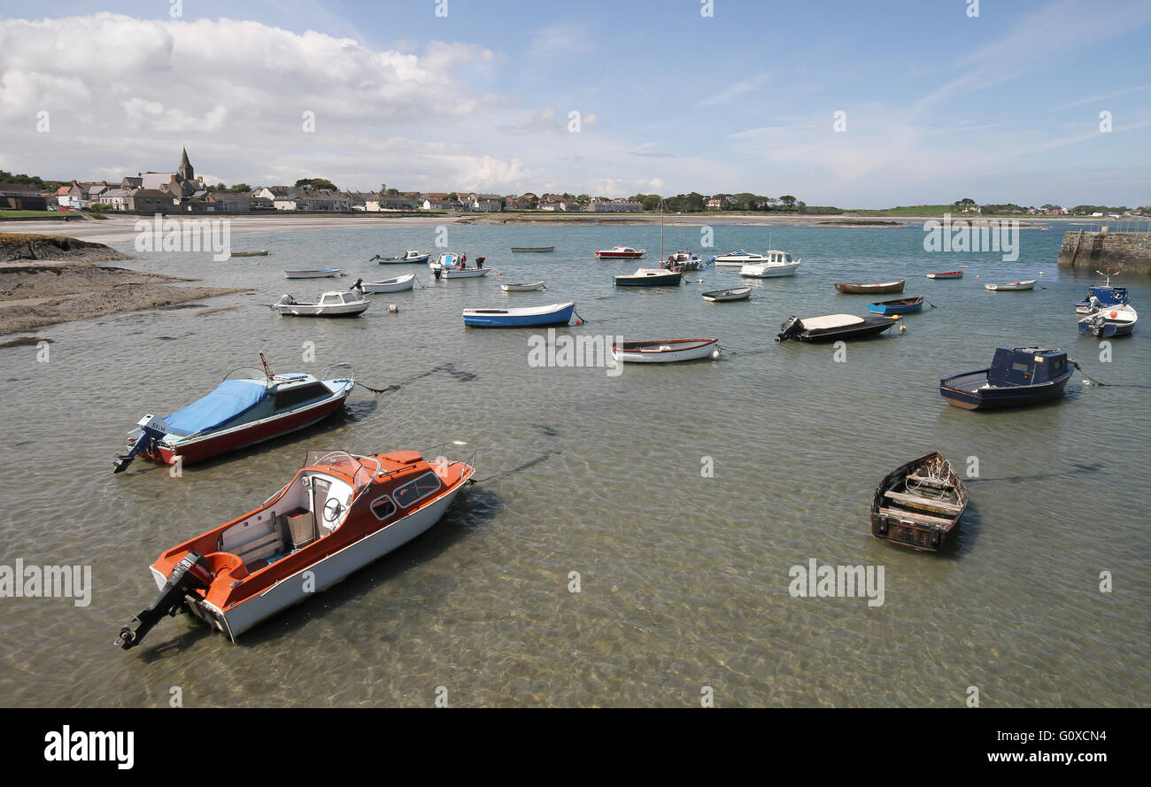 Ballywalter and harbour, a small seaside village on the east coast of the Ards Peninsula in Northern Ireland, with pleasure boats at low tide. Stock Photo