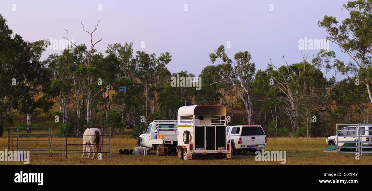 A horse grazes in a pen in front of a windmill and alongside a horse float and 4WD vehicles during a cattle drive in Queensland. Stock Photo