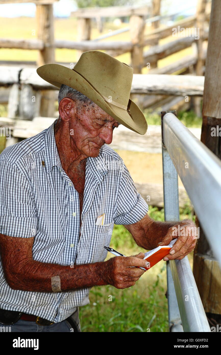 A cattle farmer wearing a cowboy hat checks the cattle numbers in his field notebook near Eidsvold, Queensland, Australia. Stock Photo