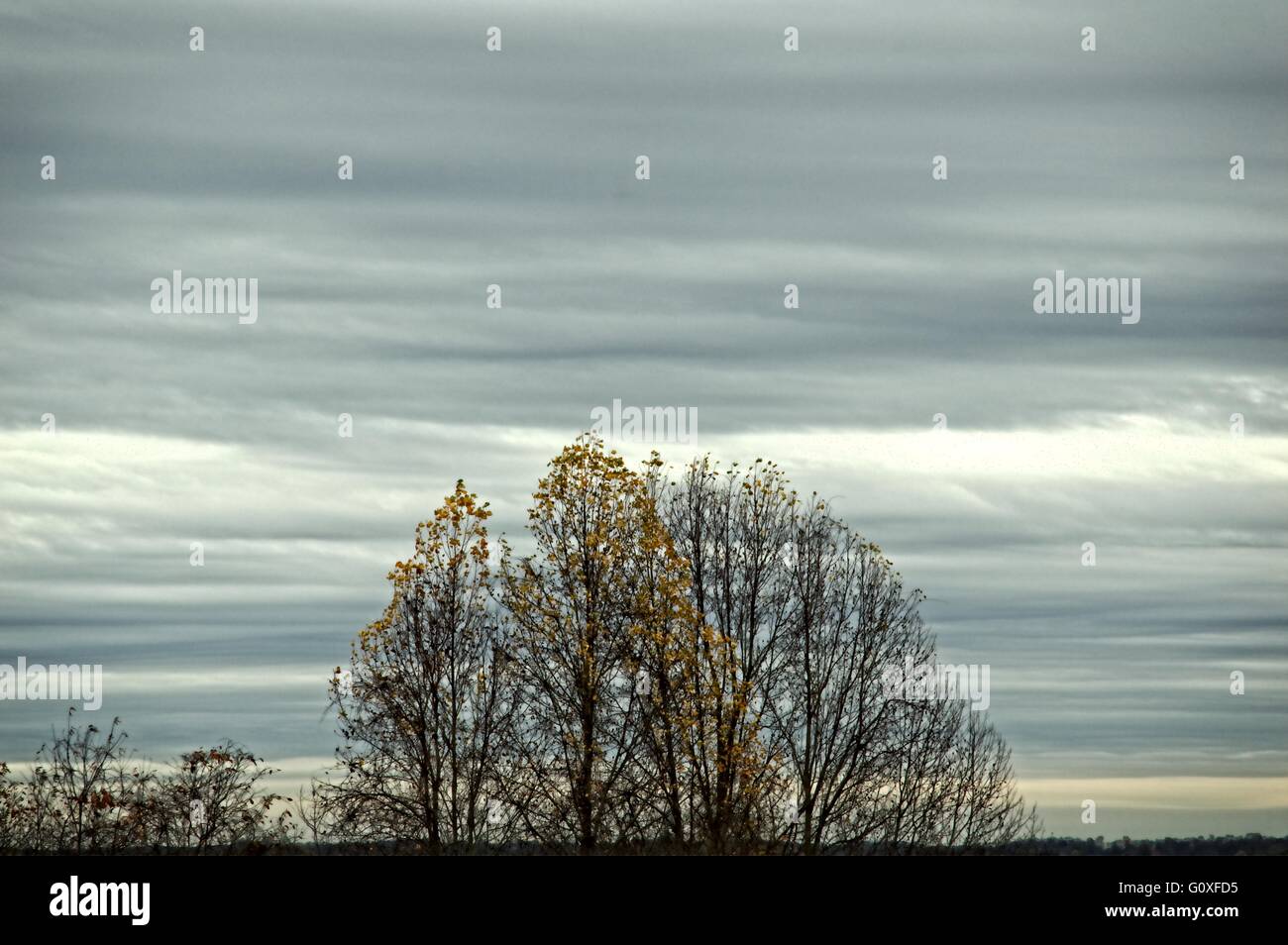 Natchez trace hi-res stock photography and images - Alamy